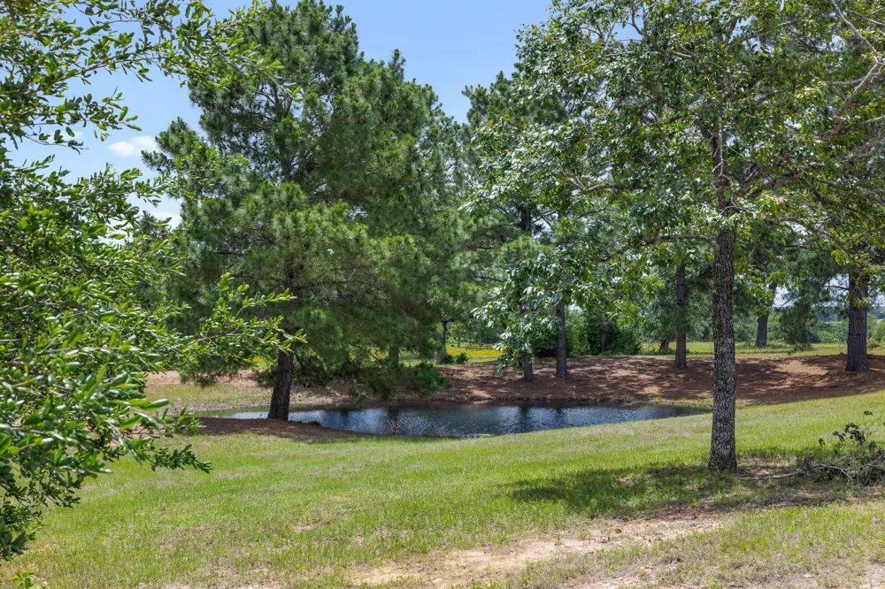 2513 S Fm 1291 Fayetteville, TX 78940