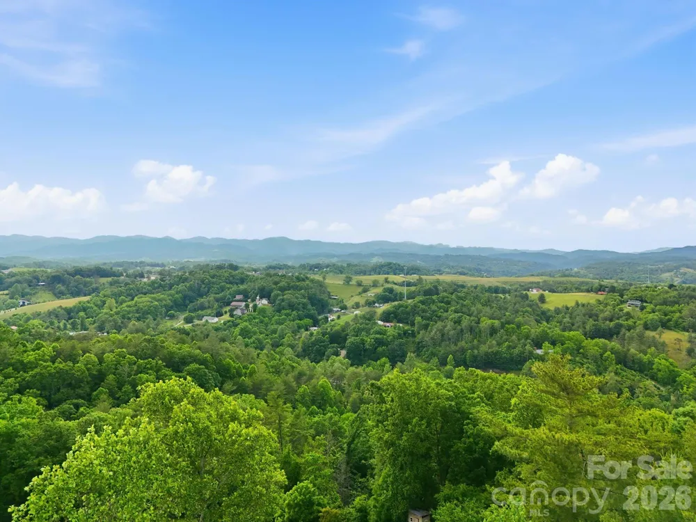 65 Buckle Ridge Weaverville, NC 28787