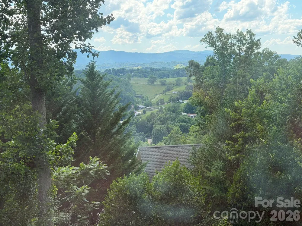65 Buckle Ridge Weaverville, NC 28787