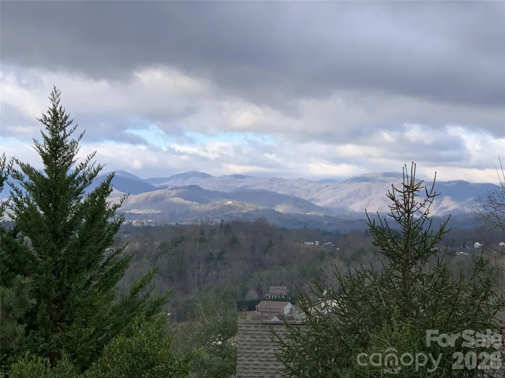 65 Buckle Ridge Weaverville, NC 28787