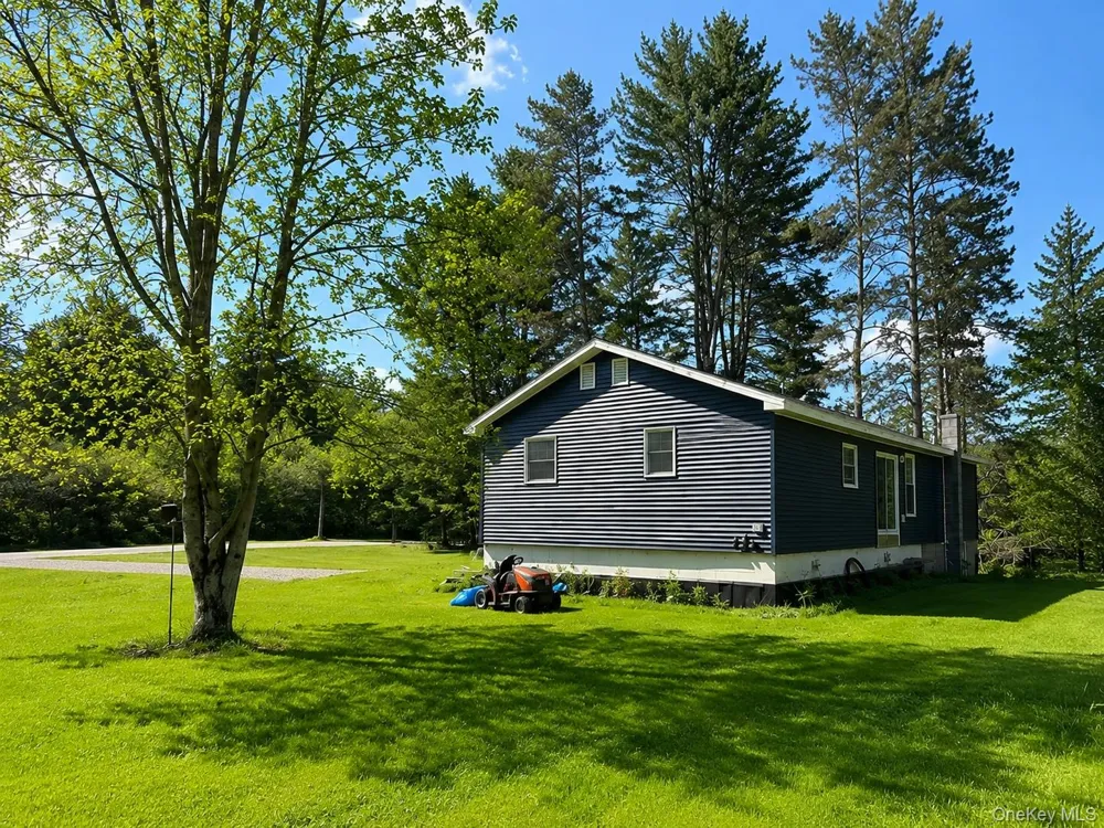 287 Debruce Road Livingston Manor, NY 12758
