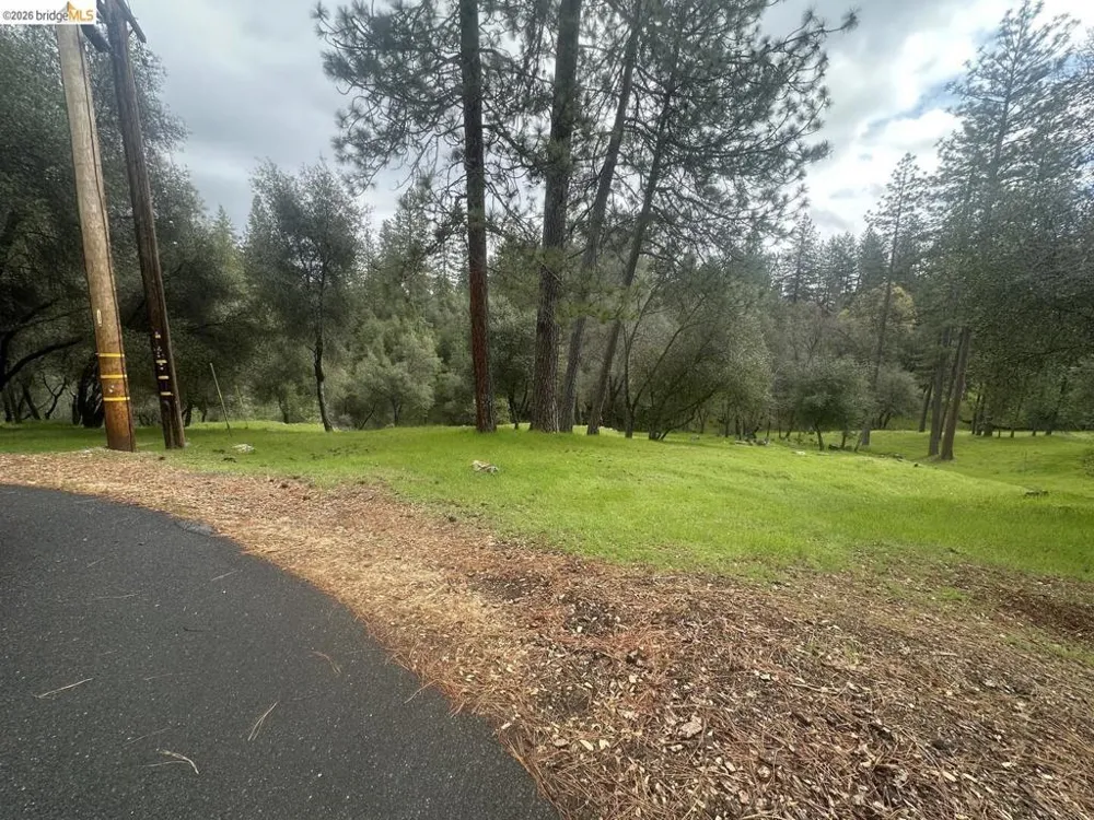 13095 Fox CT Groveland, CA 95321