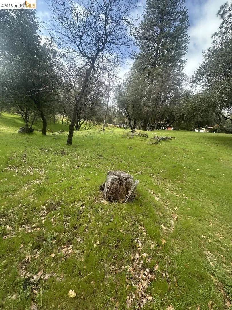 13095 Fox CT Groveland, CA 95321