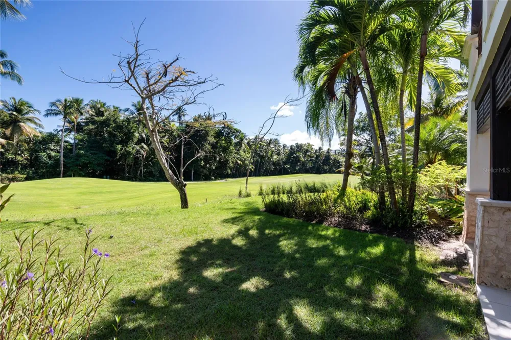 7000 BAHIA BEACH BLV LAS VERANDAS #3118 Rio Grande, PR 00745