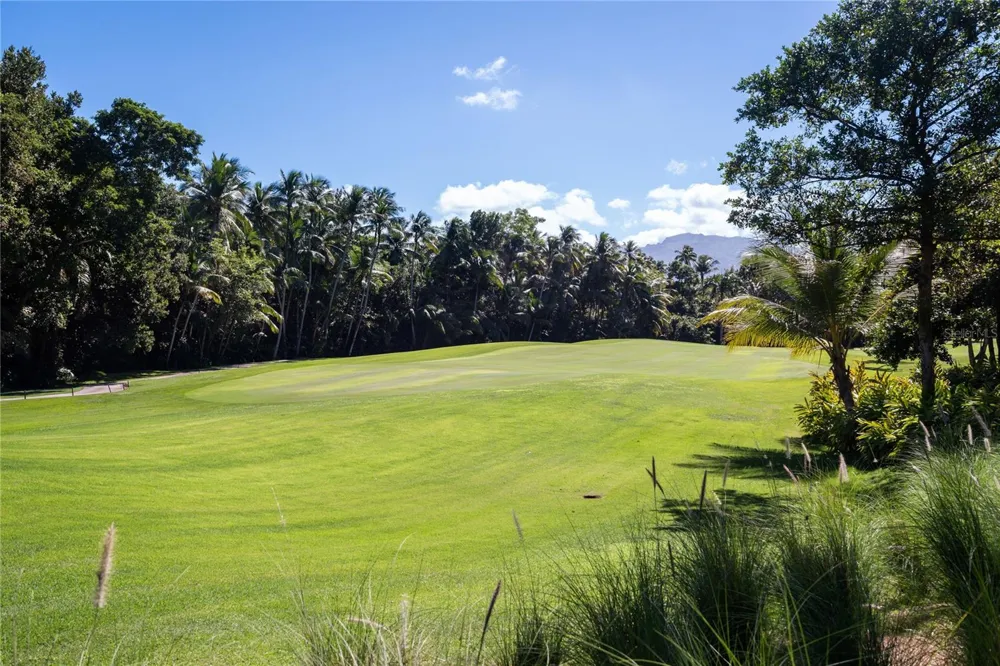 7000 BAHIA BEACH BLV LAS VERANDAS #3118 Rio Grande, PR 00745