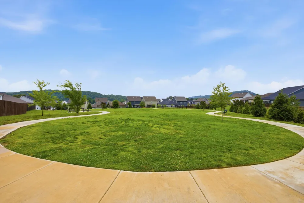 3525 Haystack Lane Apison, TN 37302