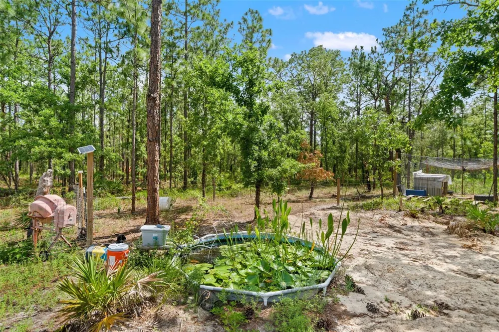 18336 MACEK ROAD Weeki Wachee, FL 34614