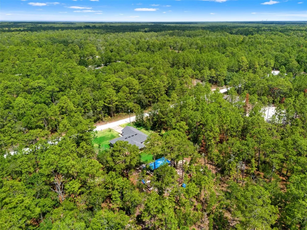 18336 MACEK ROAD Weeki Wachee, FL 34614