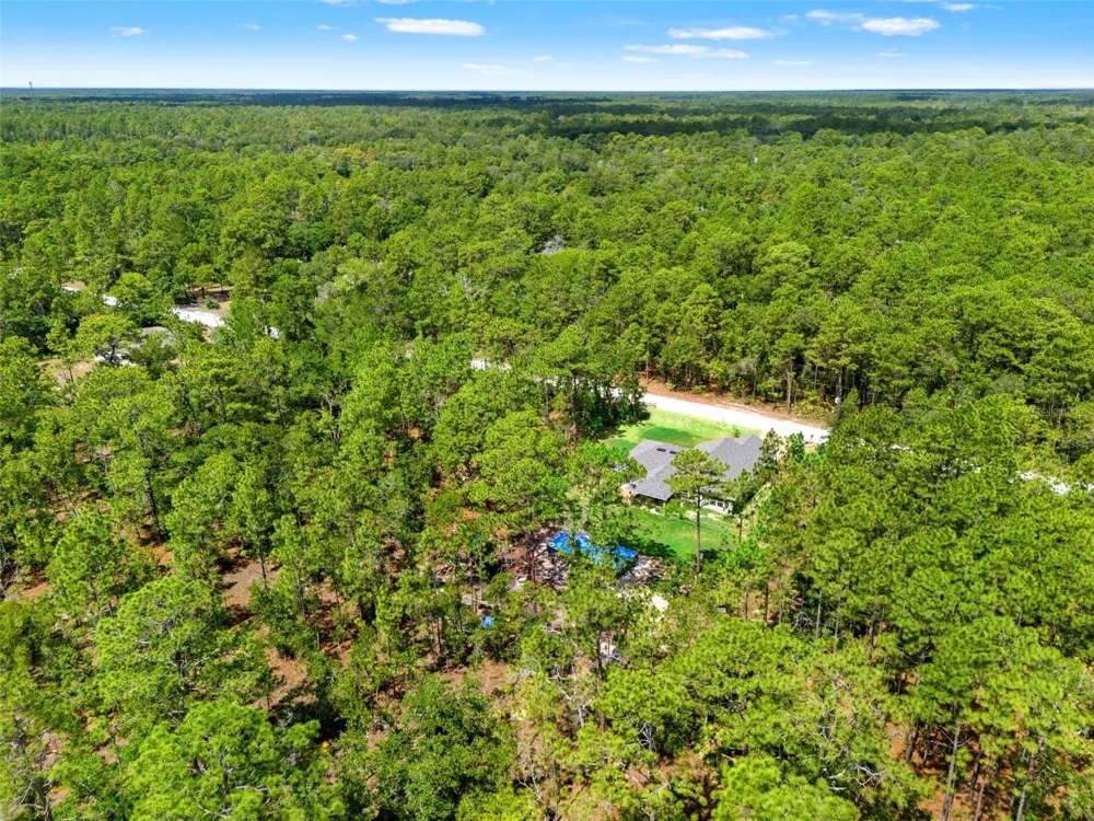 18336 MACEK ROAD Weeki Wachee, FL 34614