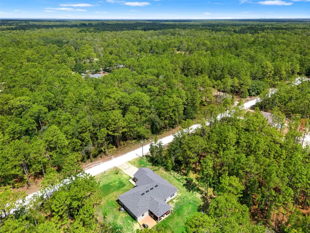 18336 MACEK ROAD Weeki Wachee, FL 34614