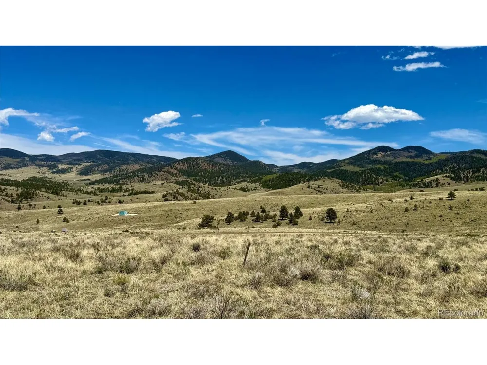99 Melody Circle Westcliffe, CO 81252