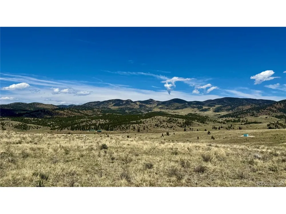 99 Melody Circle Westcliffe, CO 81252