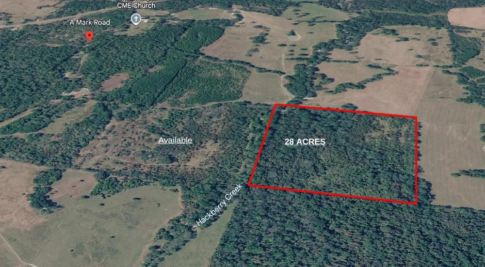 Amark Rd Road Apple Springs, TX 75926