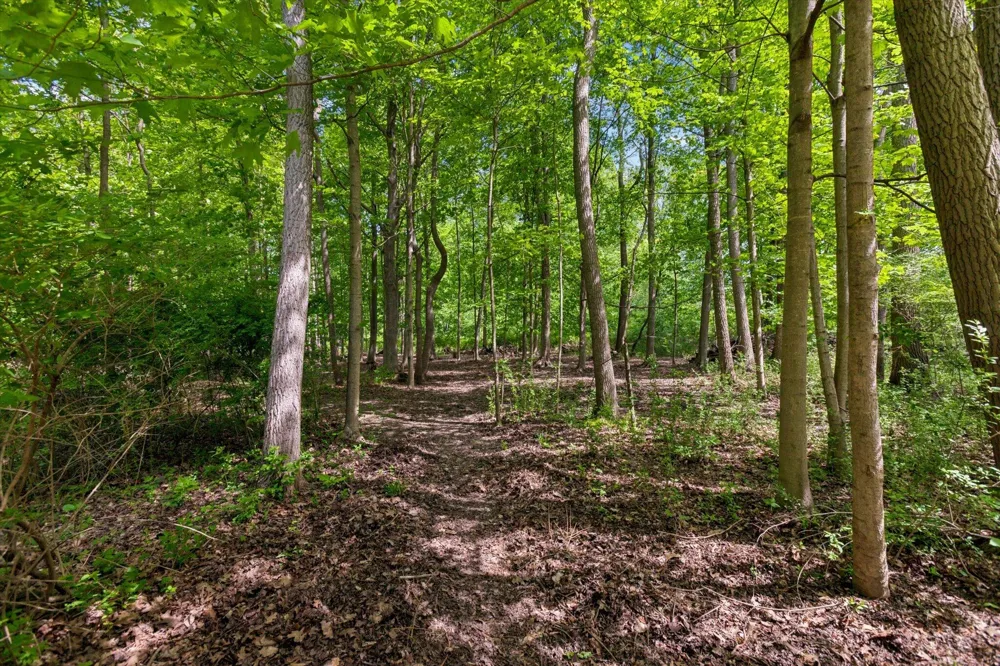 58 Lincoln Avenue Casco Township, MI 49090