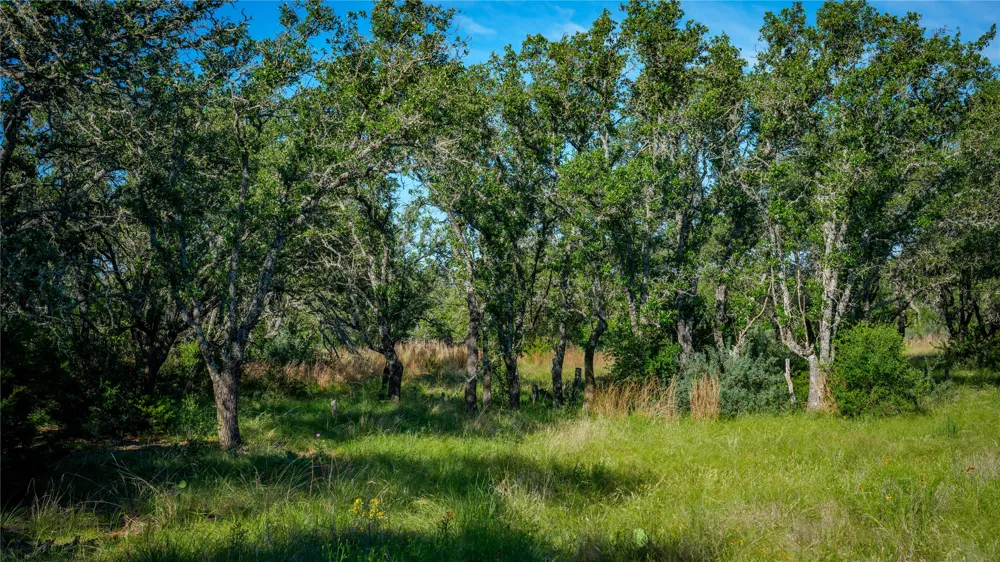 3276 Link Road Doss, TX 78618