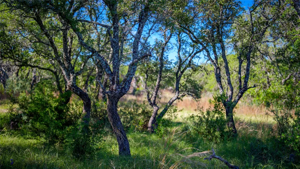 3276 Link Road Doss, TX 78618