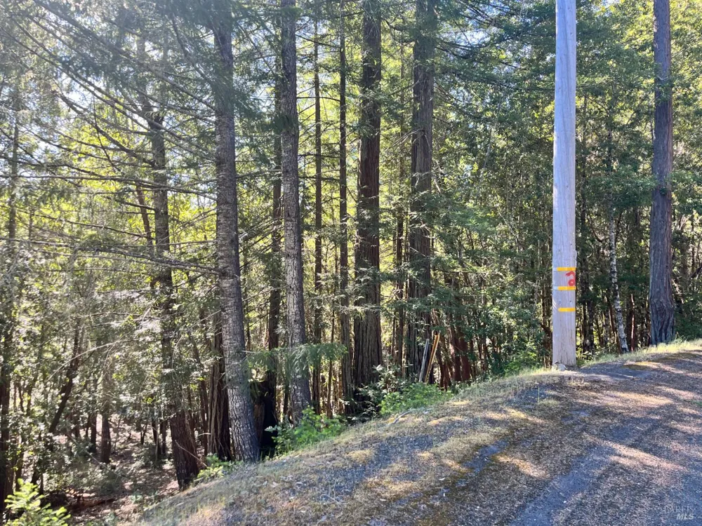 25143 Blue Jay Place Willits, CA 95490