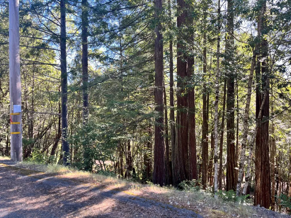 25143 Blue Jay Place Willits, CA 95490