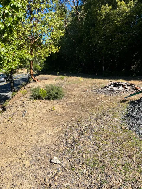 2185 Primrose Drive
