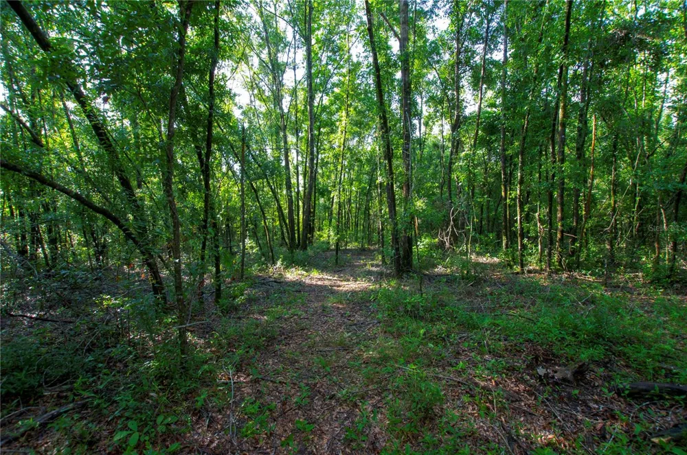 18233 185TH RD Live Oak, FL 32060