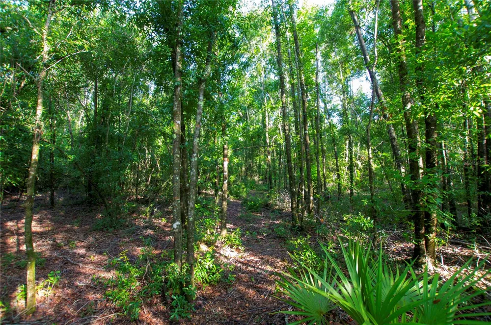 18233 185TH RD Live Oak, FL 32060