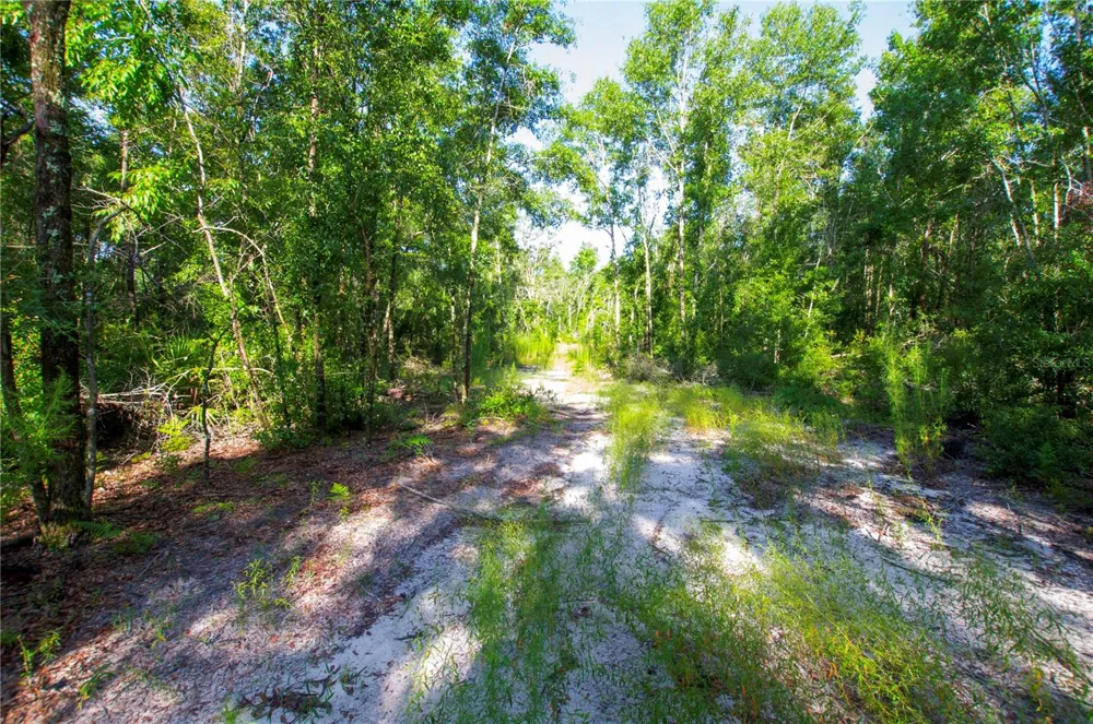 18233 185TH RD Live Oak, FL 32060