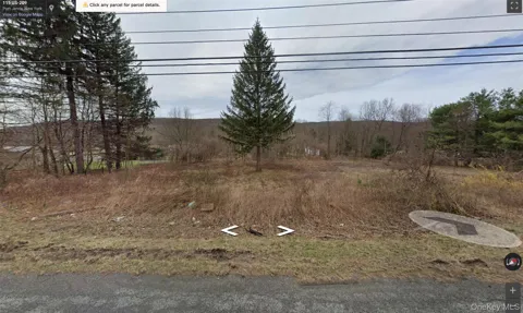 113 Route 209