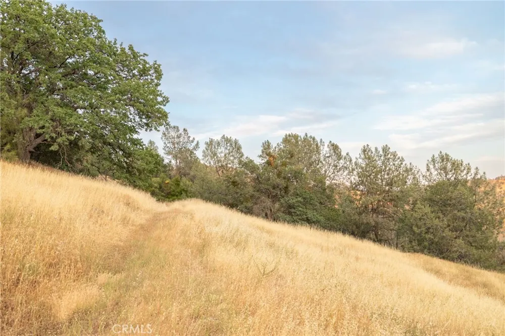 13 Lazy L Summit Coarsegold, CA 93614