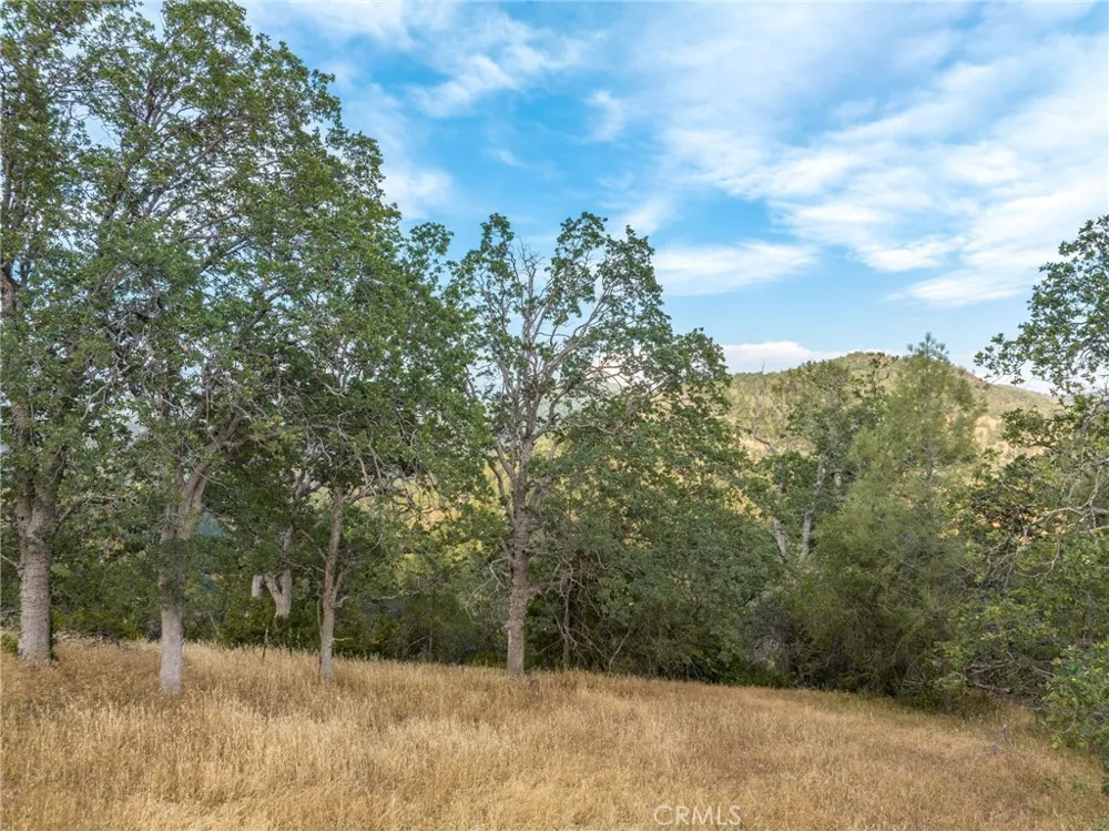 13 Lazy L Summit Coarsegold, CA 93614