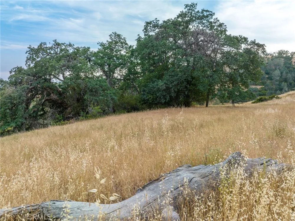 13 Lazy L Summit Coarsegold, CA 93614