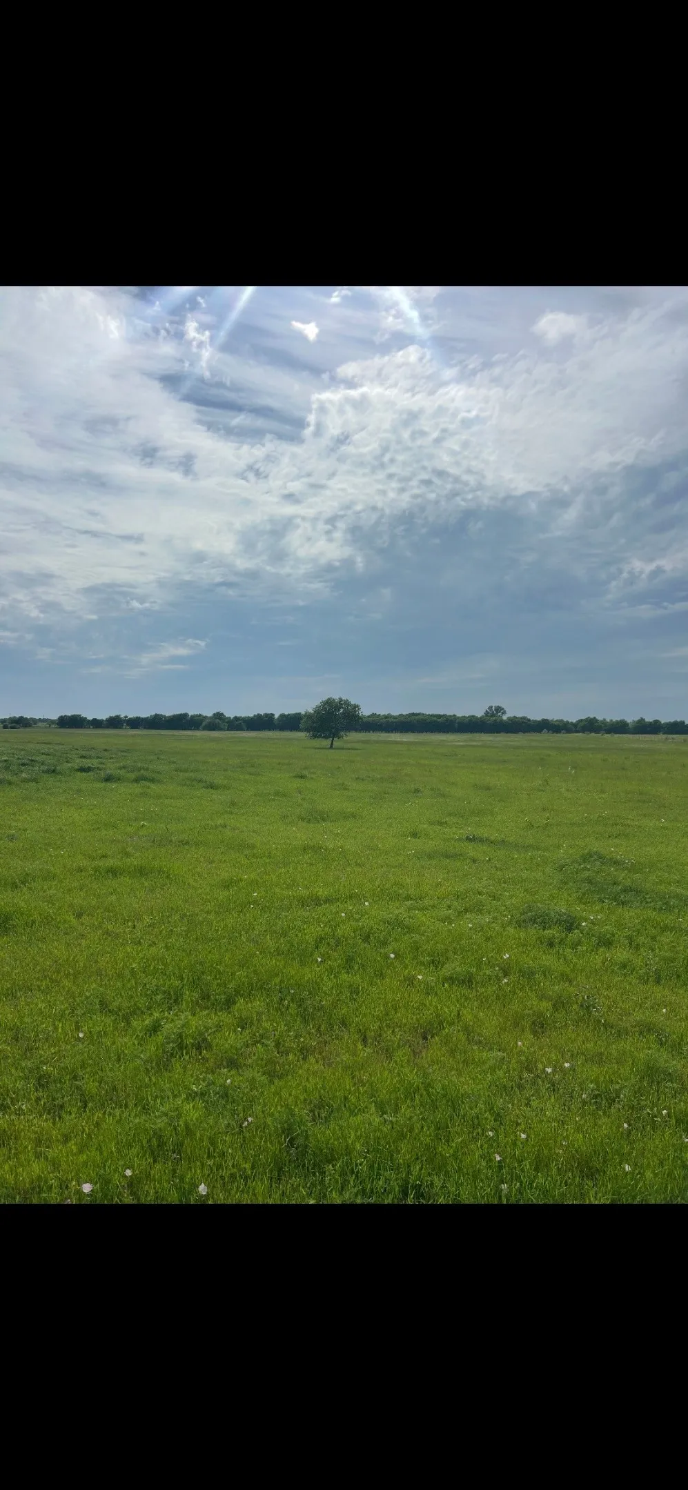 10 OHANLON ROAD Whitesboro, TX 76273