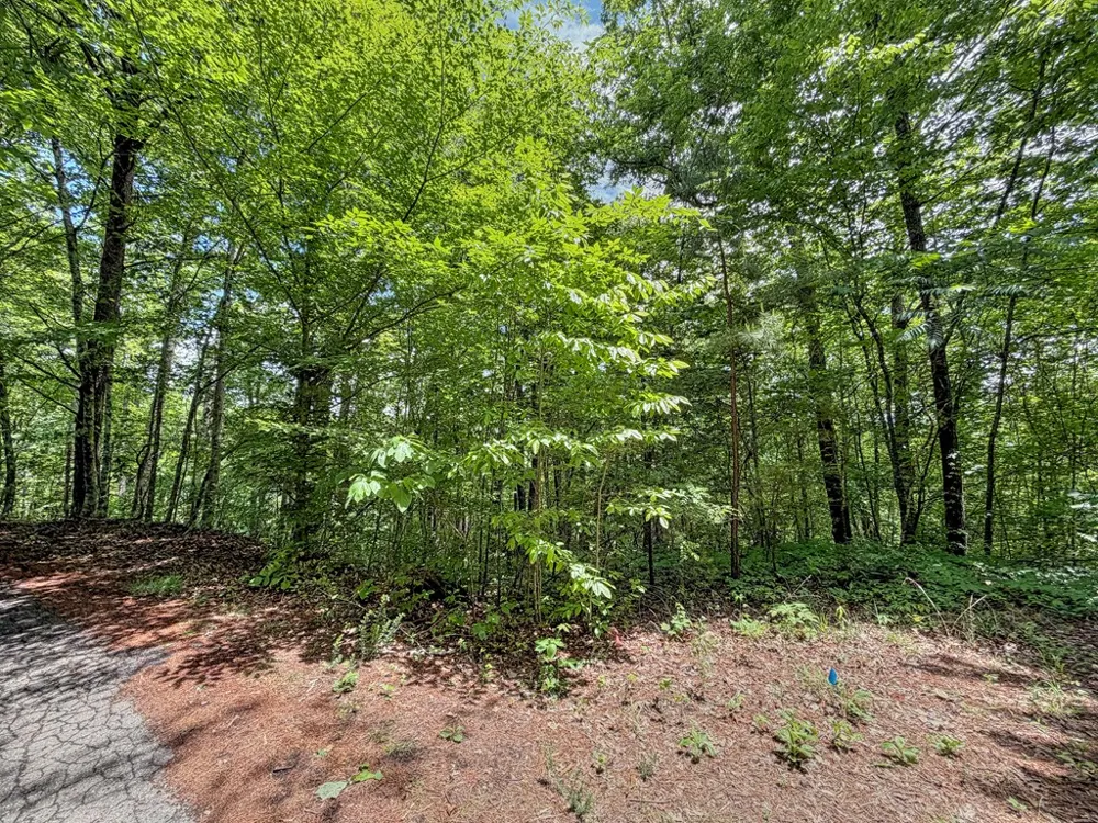 Fortner Ave Bryson City, NC 28713