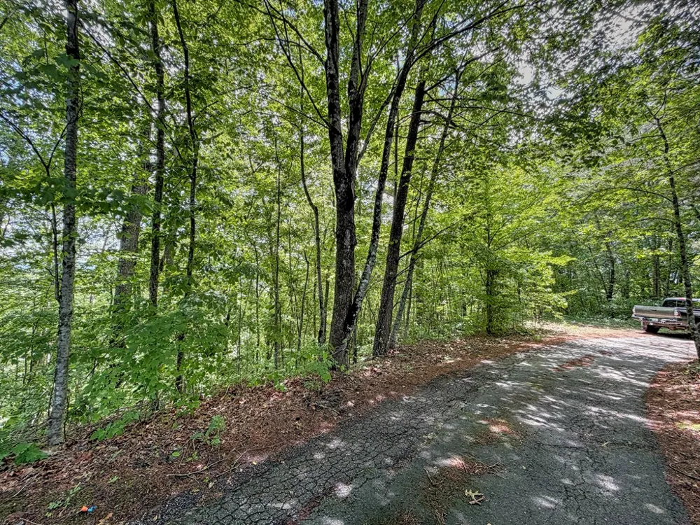 Fortner Ave Bryson City, NC 28713