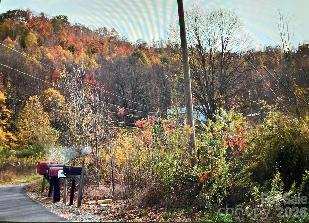 TBD Prices Creek Road Burnsville, NC 28714