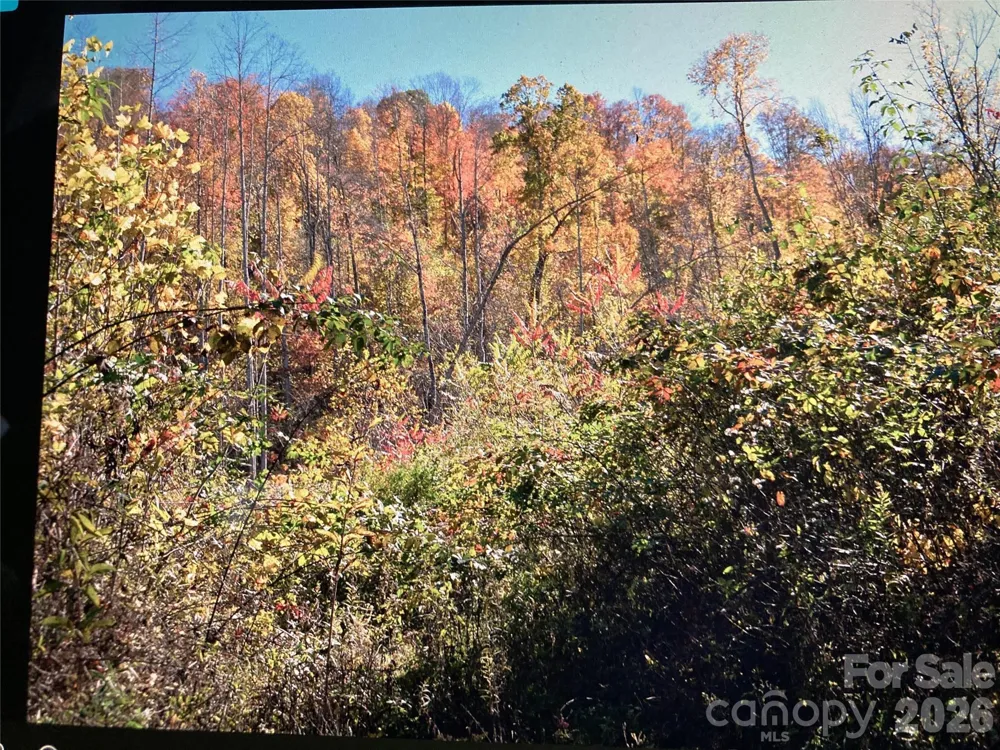 TBD Prices Creek Road Burnsville, NC 28714