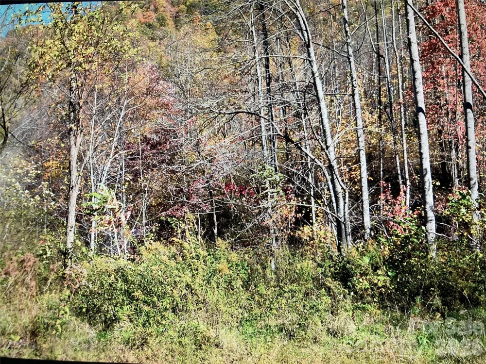 TBD Prices Creek Road Burnsville, NC 28714