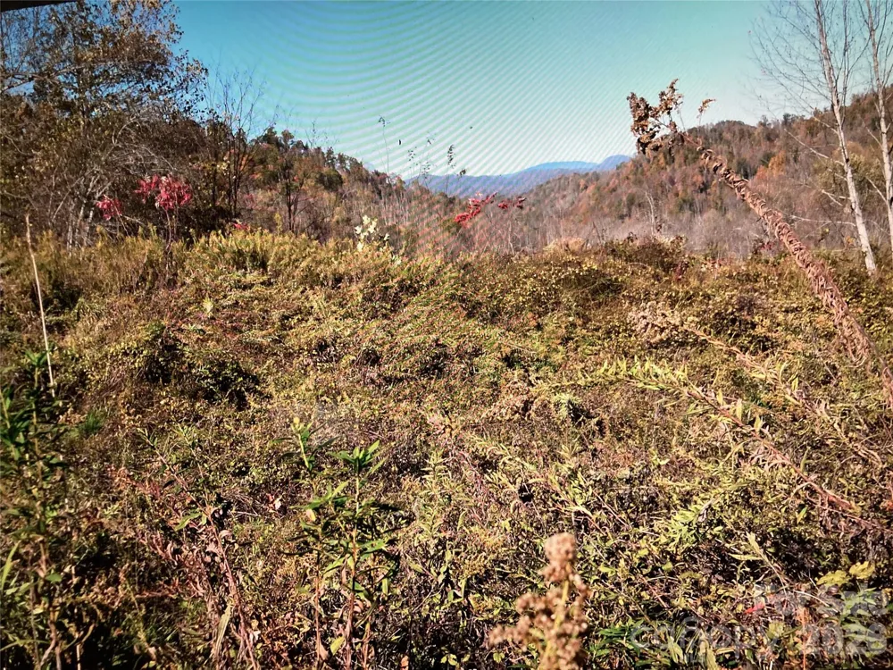 TBD Prices Creek Road Burnsville, NC 28714