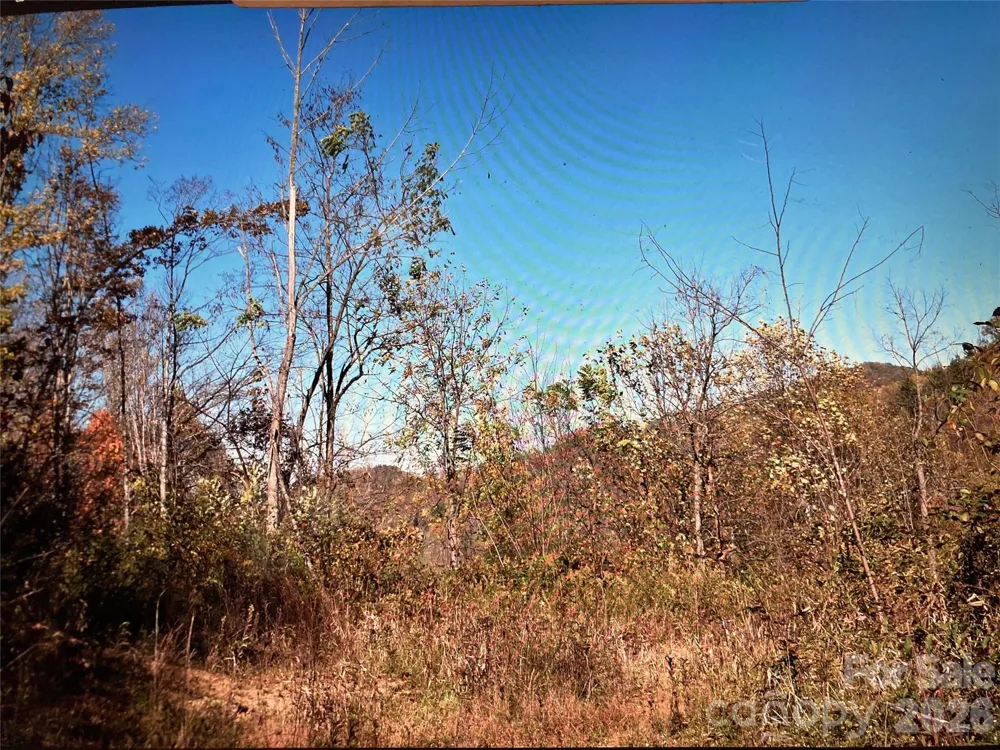 TBD Prices Creek Road Burnsville, NC 28714