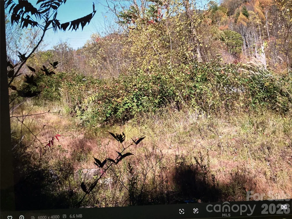 TBD Prices Creek Road Burnsville, NC 28714