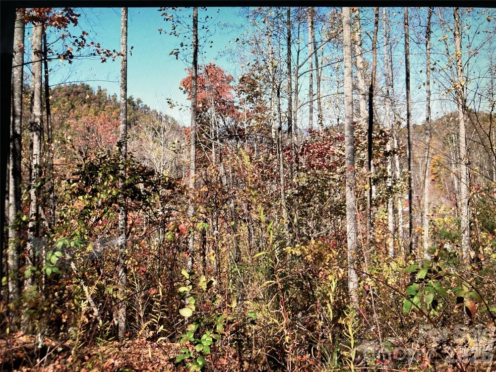 TBD Prices Creek Road Burnsville, NC 28714