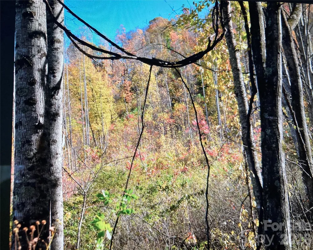 TBD Prices Creek Road Burnsville, NC 28714