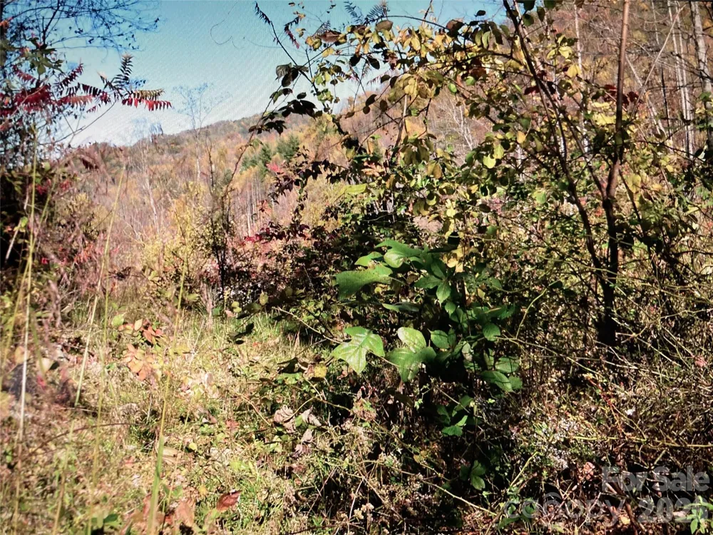 TBD Prices Creek Road Burnsville, NC 28714