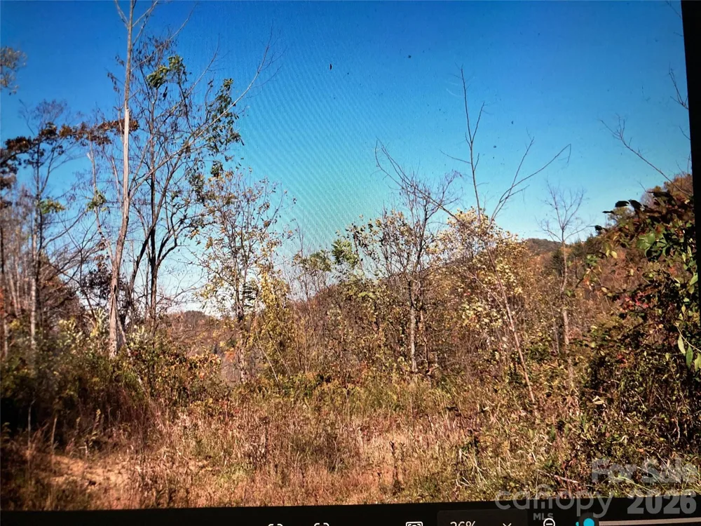 TBD Prices Creek Road Burnsville, NC 28714
