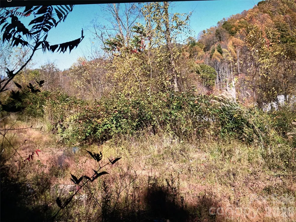 TBD Prices Creek Road Burnsville, NC 28714