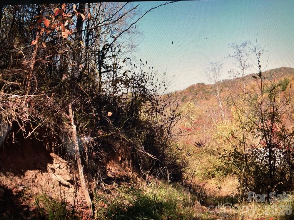 TBD Prices Creek Road Burnsville, NC 28714