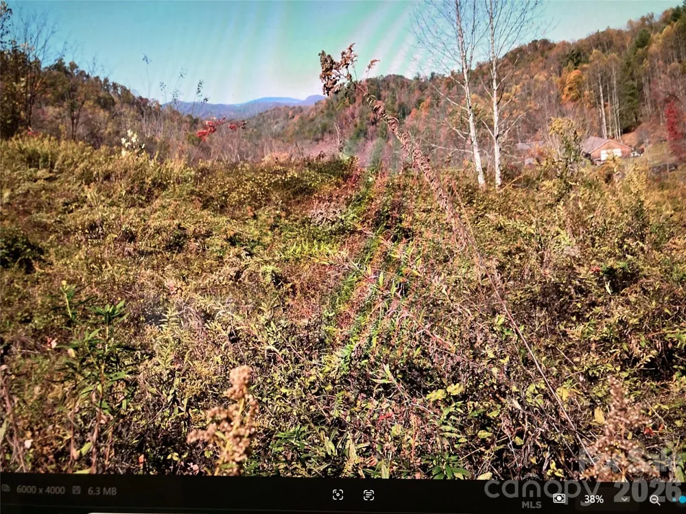TBD Prices Creek Road Burnsville, NC 28714
