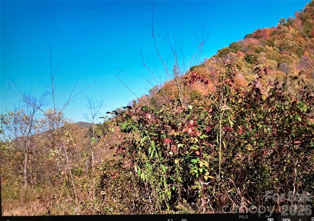 TBD Prices Creek Road Burnsville, NC 28714