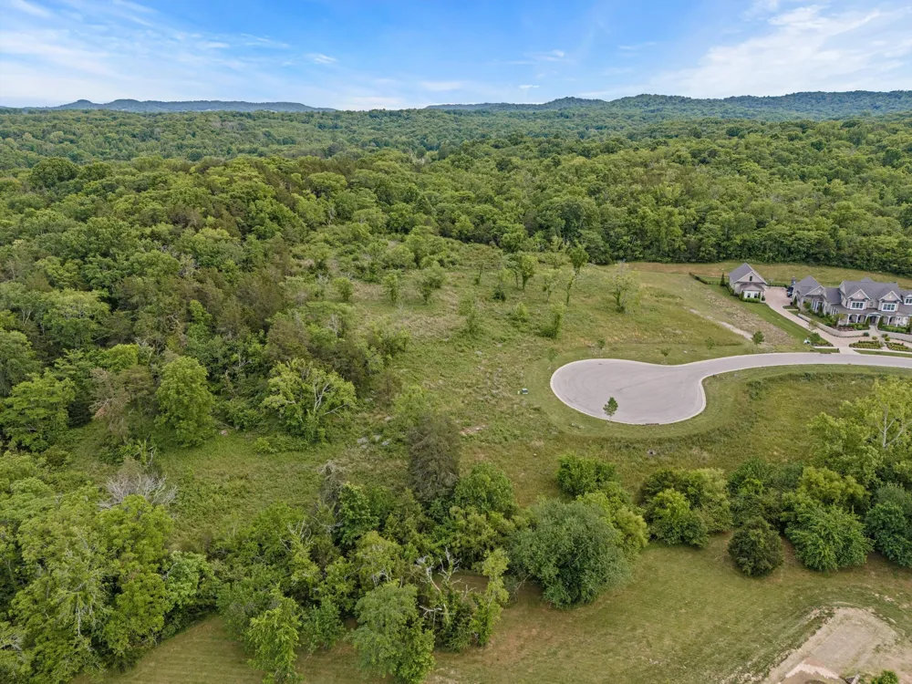 9447 Thatchbay Ct College Grove, TN 37046