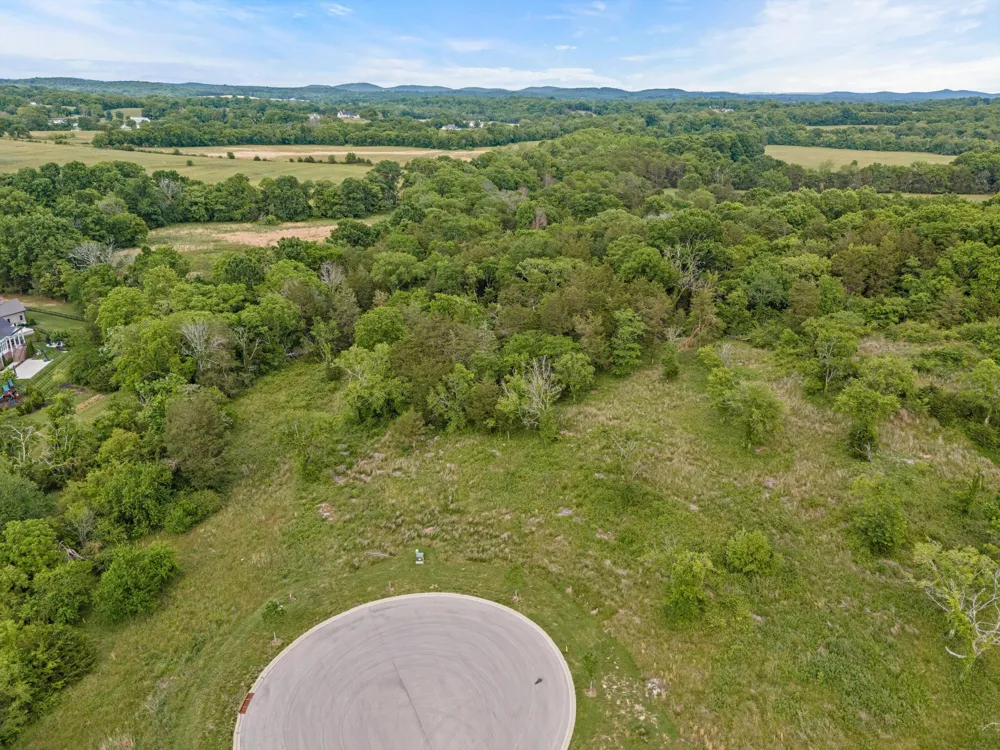 9447 Thatchbay Ct College Grove, TN 37046