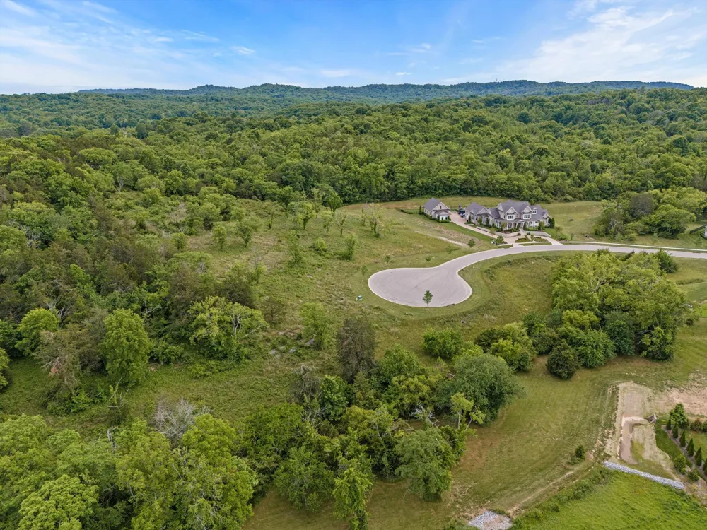 9447 Thatchbay Ct College Grove, TN 37046